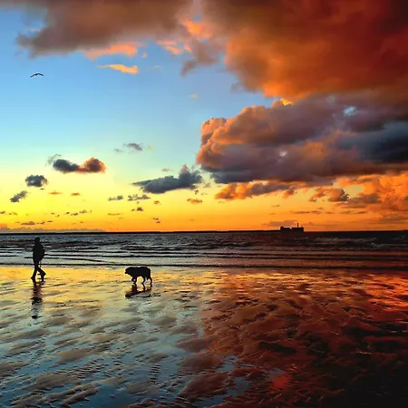 Le Refuge Des Dunes - Calme ,nature Et Sauvage