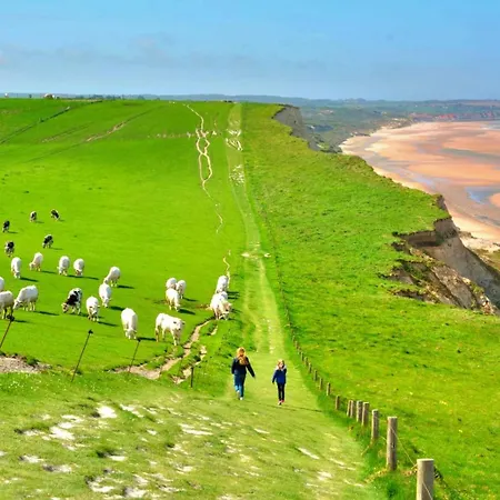度假居 Le Refuge Des Dunes - Calme ,nature Et Sauvage 维姆勒